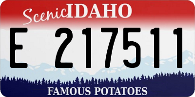 ID license plate E217511