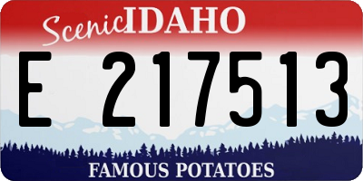 ID license plate E217513