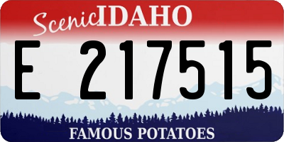 ID license plate E217515
