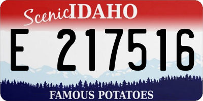 ID license plate E217516