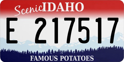 ID license plate E217517