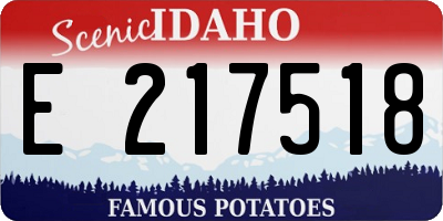 ID license plate E217518