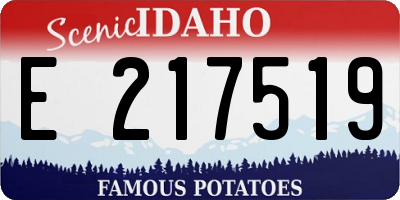 ID license plate E217519