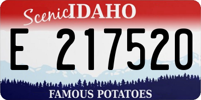 ID license plate E217520