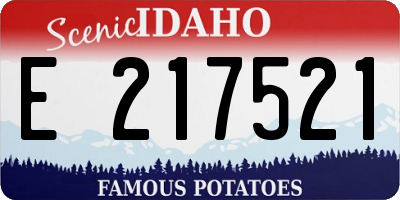 ID license plate E217521