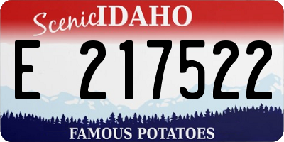 ID license plate E217522