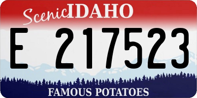 ID license plate E217523