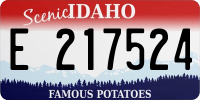 ID license plate E217524