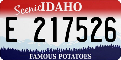 ID license plate E217526