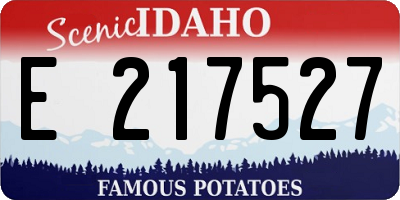 ID license plate E217527