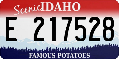 ID license plate E217528