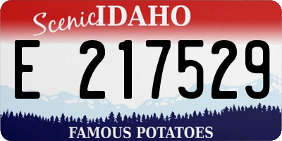 ID license plate E217529