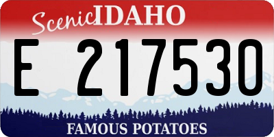 ID license plate E217530