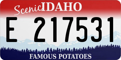 ID license plate E217531
