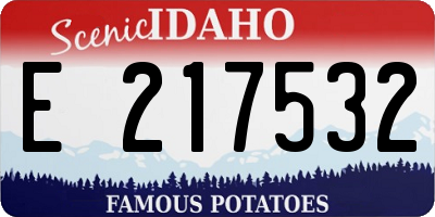 ID license plate E217532