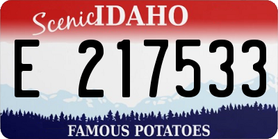 ID license plate E217533