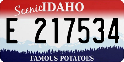 ID license plate E217534