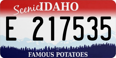 ID license plate E217535
