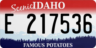 ID license plate E217536