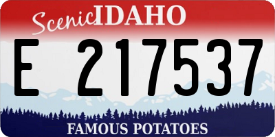 ID license plate E217537