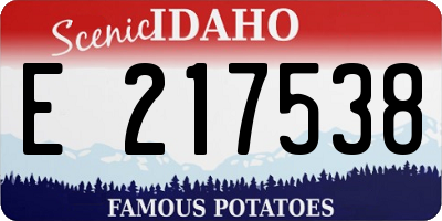 ID license plate E217538