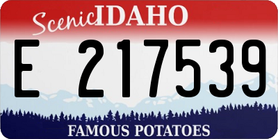 ID license plate E217539