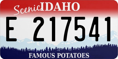 ID license plate E217541