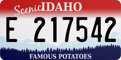 ID license plate E217542
