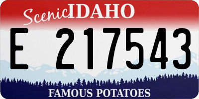 ID license plate E217543