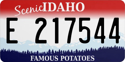 ID license plate E217544