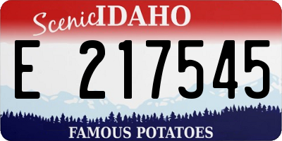 ID license plate E217545