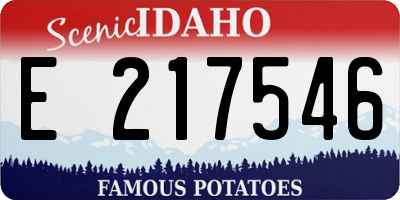 ID license plate E217546