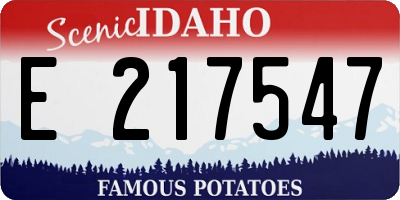 ID license plate E217547
