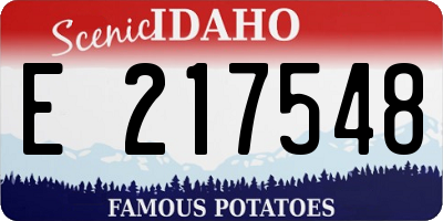 ID license plate E217548