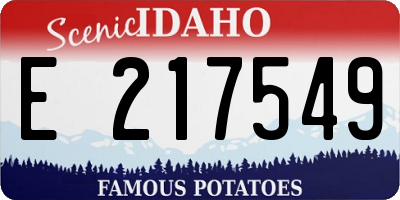 ID license plate E217549