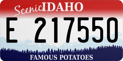 ID license plate E217550