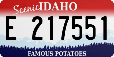 ID license plate E217551