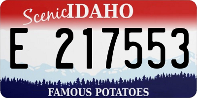 ID license plate E217553