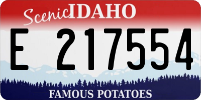 ID license plate E217554