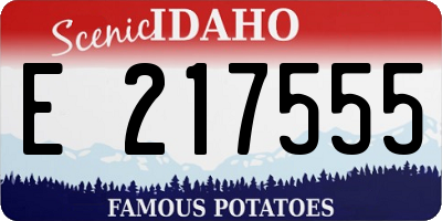 ID license plate E217555