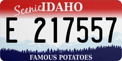 ID license plate E217557