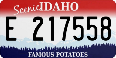 ID license plate E217558