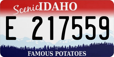 ID license plate E217559