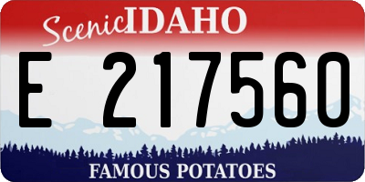 ID license plate E217560