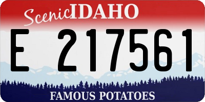 ID license plate E217561