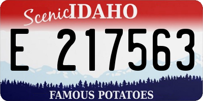 ID license plate E217563