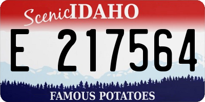 ID license plate E217564