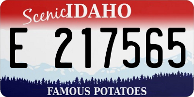 ID license plate E217565