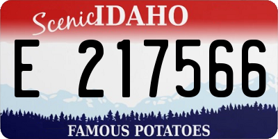 ID license plate E217566