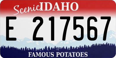 ID license plate E217567